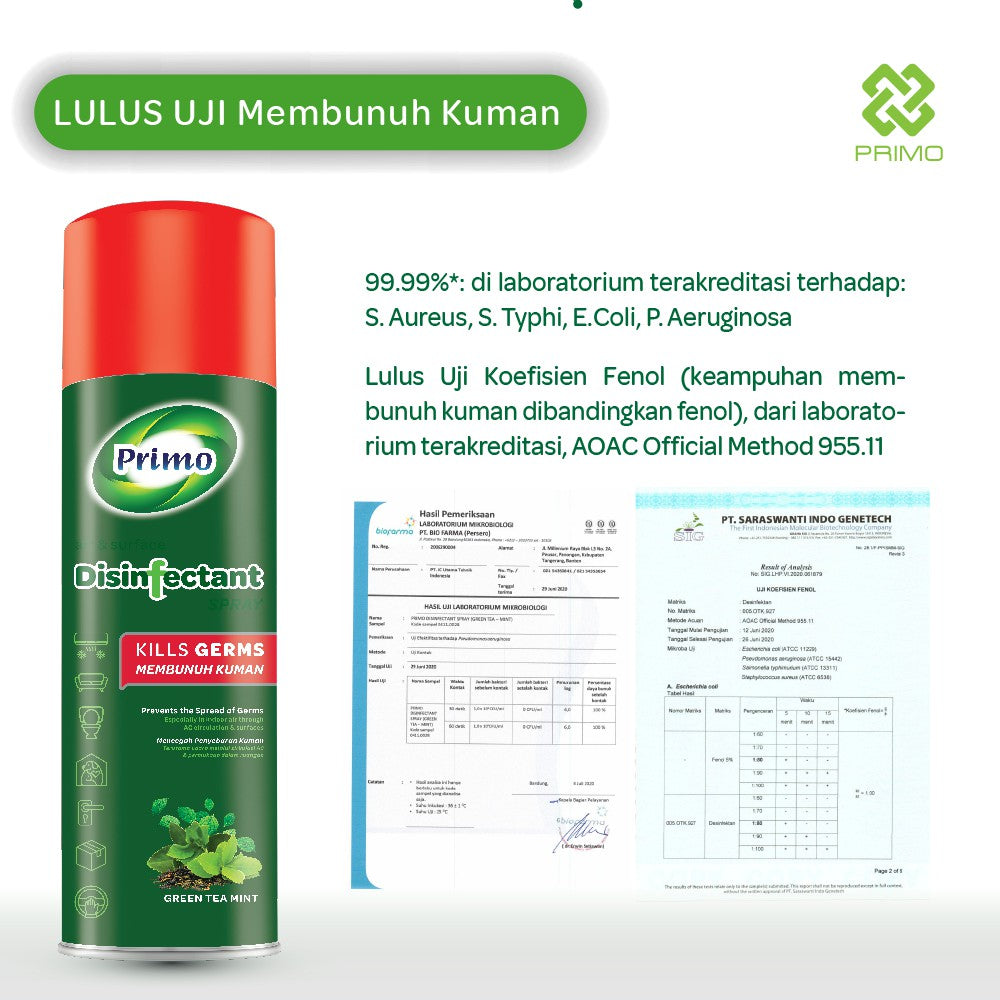 Semprotan Disinfektan Pengasapan Udara & Permukaan Teh Hijau Mint 500mL
